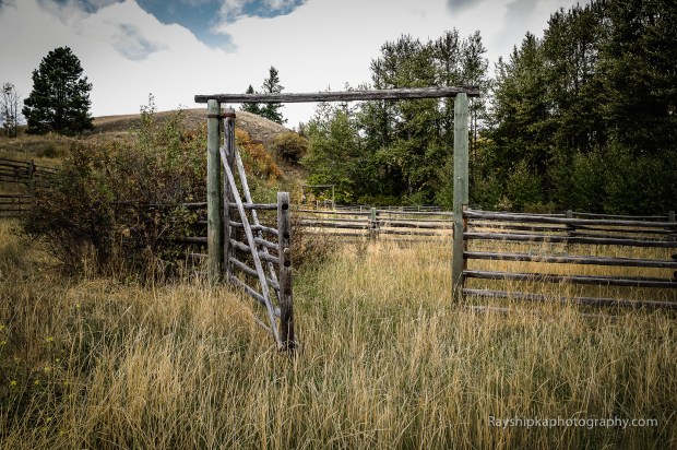 20150920-_DSC7771-Edit-Edit-2