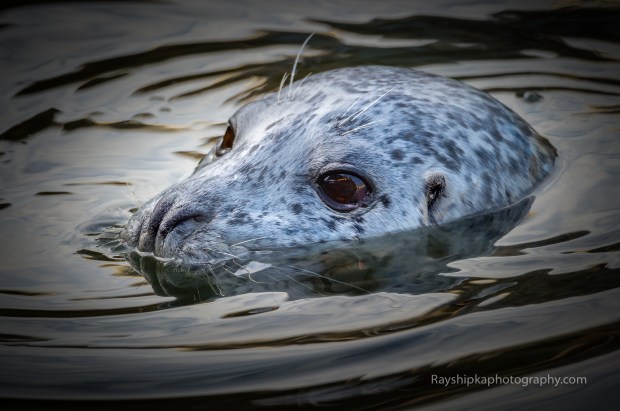 20151122-DSC_8800-Edit